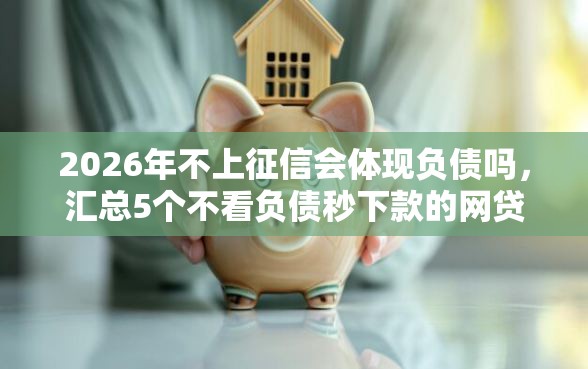 2026年不上征信会体现负债吗，汇总5个不看负债秒下款的网贷口子