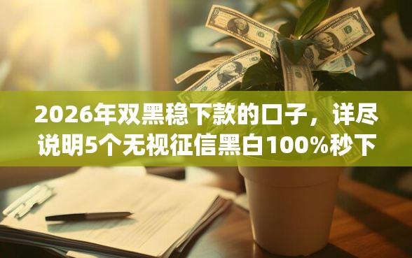 2026年双黑稳下款的口子，详尽说明5个无视征信黑白100%秒下app