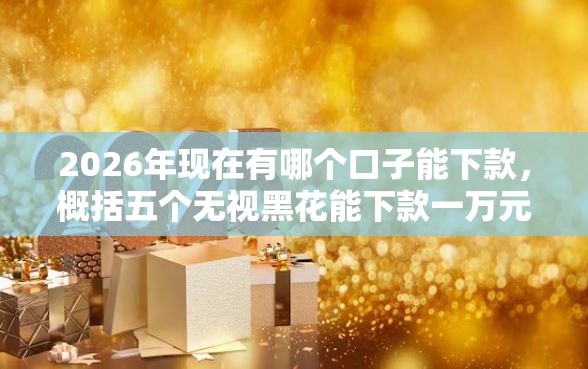 2026年现在有哪个口子能下款，概括五个无视黑花能下款一万元口子