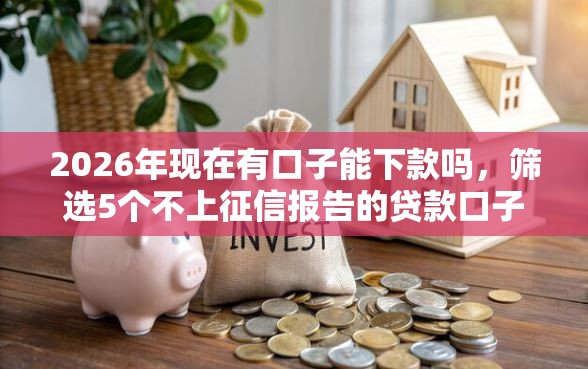2026年现在有口子能下款吗，筛选5个不上征信报告的贷款口子