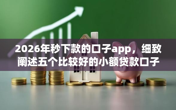 2026年秒下款的口子app，细致阐述五个比较好的小额贷款口子