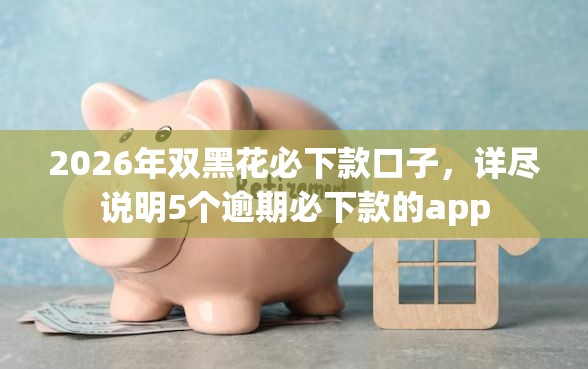 2026年双黑花必下款口子，详尽说明5个逾期必下款的app