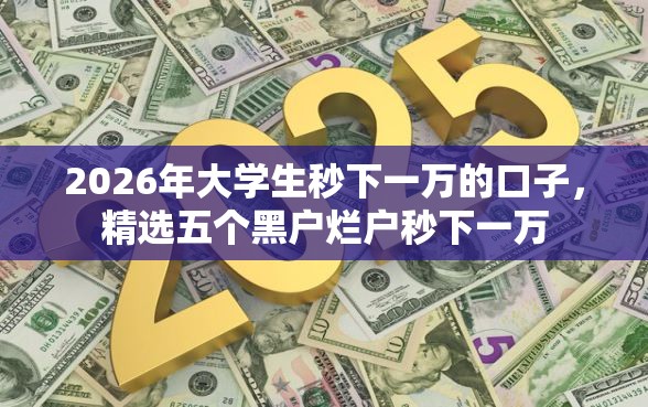 2026年大学生秒下一万的口子，精选五个黑户烂户秒下一万