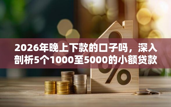 2026年晚上下款的口子吗，深入剖析5个1000至5000的小额贷款口子