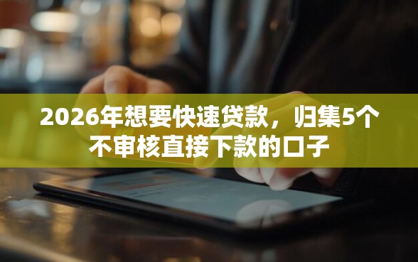 2026年想要快速贷款，归集5个不审核直接下款的口子