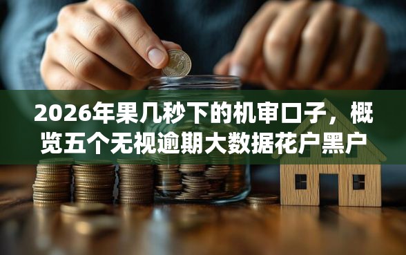 2026年果几秒下的机审口子，概览五个无视逾期大数据花户黑户app