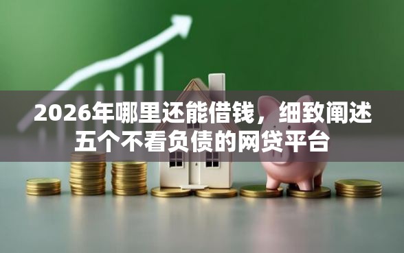 2026年哪里还能借钱，细致阐述五个不看负债的网贷平台