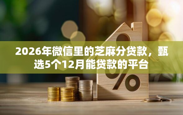 2026年微信里的芝麻分贷款，甄选5个12月能贷款的平台
