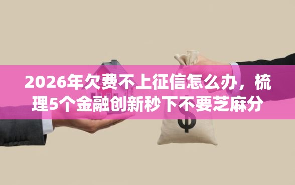 2026年欠费不上征信怎么办，梳理5个金融创新秒下不要芝麻分的app