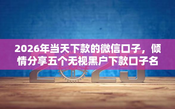 2026年当天下款的微信口子，倾情分享五个无视黑户下款口子名单大全