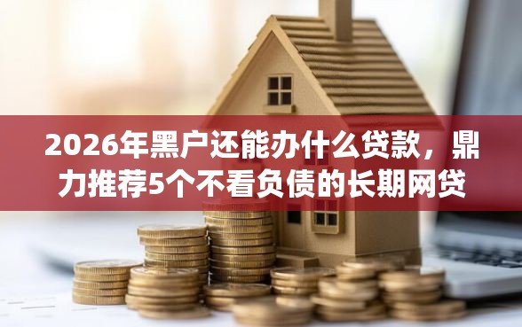 2026年黑户还能办什么贷款，鼎力推荐5个不看负债的长期网贷app