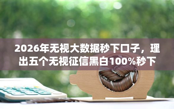 2026年无视大数据秒下口子，理出五个无视征信黑白100%秒下网贷app