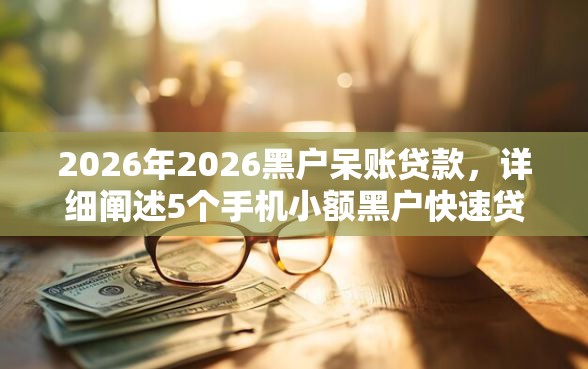 2026年2026黑户呆账贷款，详细阐述5个手机小额黑户快速贷款平台