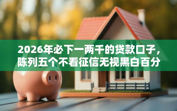 2026年必下一两千的贷款口子，陈列五个不看征信无视黑白百分百下款口子