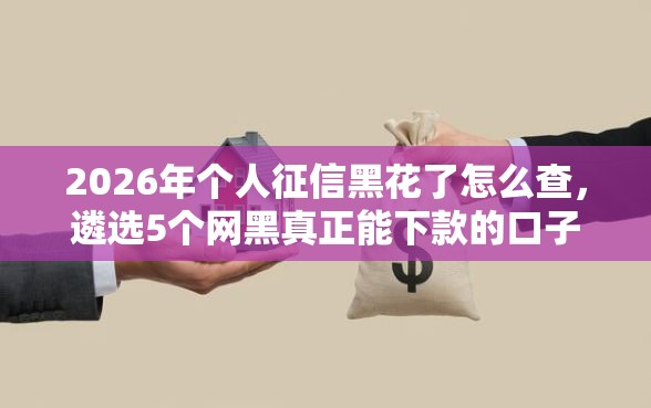 2026年个人征信黑花了怎么查，遴选5个网黑真正能下款的口子