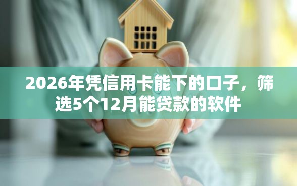 2026年凭信用卡能下的口子,筛选5个12月能贷款的软件 2026年凭信用卡能下的口子,筛选5个12月能贷款的软件