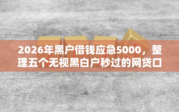 2026年黑户借钱应急5000，整理五个无视黑白户秒过的网贷口子