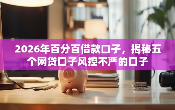 2026年百分百借款口子，揭秘五个网贷口子风控不严的口子
