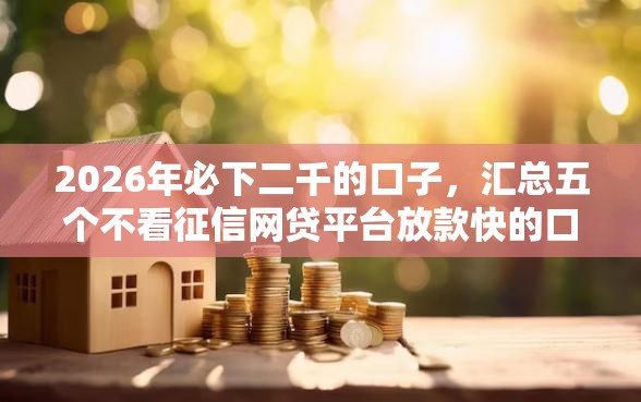 2026年必下二千的口子，汇总五个不看征信网贷平台放款快的口子