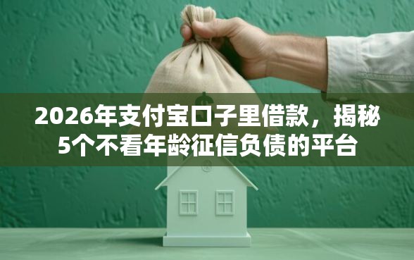 2026年支付宝口子里借款,揭秘5个不看年龄征信负债的平台 2026年支付宝口子里借款,揭秘5个不看年龄征信负债的平台
