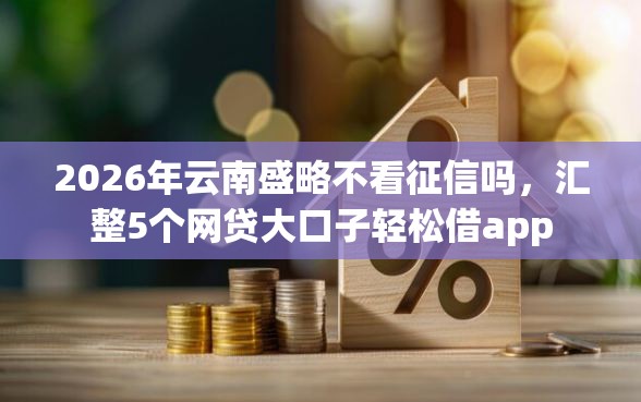 2026年云南盛略不看征信吗，汇整5个网贷大口子轻松借app