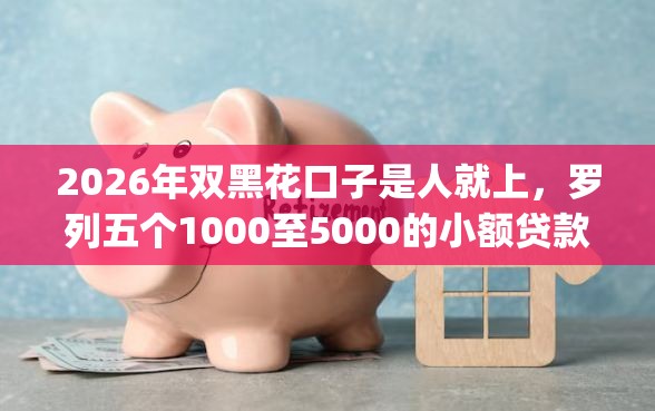 2026年双黑花口子是人就上，罗列五个1000至5000的小额贷款app