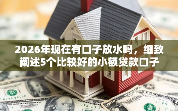 2026年现在有口子放水吗，细致阐述5个比较好的小额贷款口子