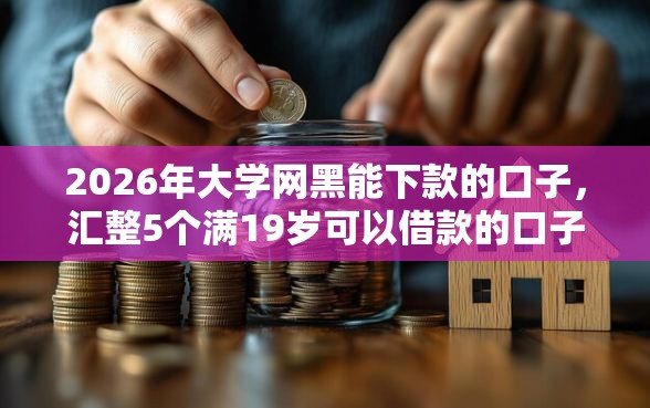 2026年大学网黑能下款的口子，汇整5个满19岁可以借款的口子