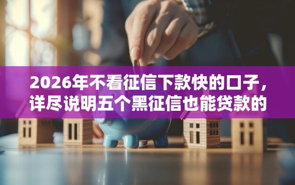 2026年不看征信下款快的口子，详尽说明五个黑征信也能贷款的网贷平台