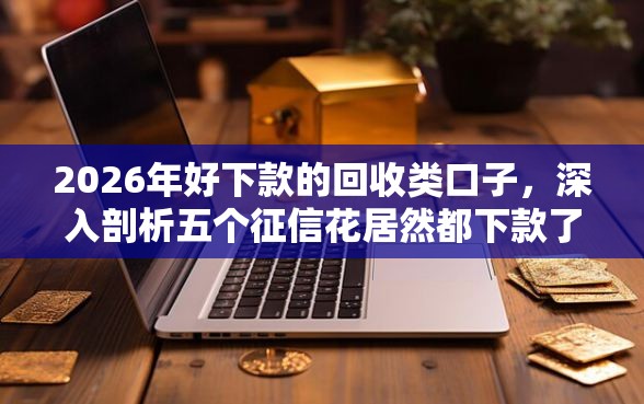2026年好下款的回收类口子，深入剖析五个征信花居然都下款了的口子
