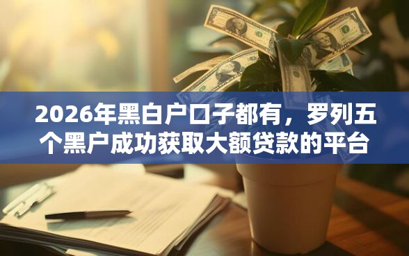 2026年黑白户口子都有，罗列五个黑户成功获取大额贷款的平台