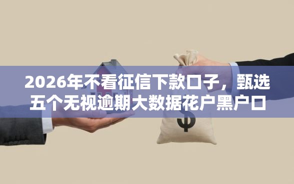 2026年不看征信下款口子，甄选五个无视逾期大数据花户黑户口子