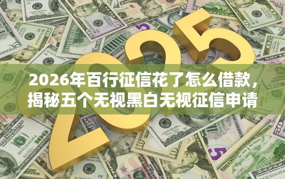 2026年百行征信花了怎么借款,揭秘五个无视黑白无视征信申请就下款的口子 2026年百行征信花了怎么借款,揭秘五个无视黑白无视征信申请就下款的口子
