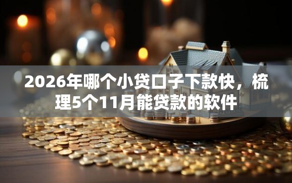 2026年哪个小贷口子下款快，梳理5个11月能贷款的软件