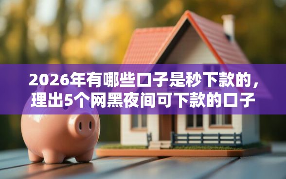 2026年有哪些口子是秒下款的，理出5个网黑夜间可下款的口子