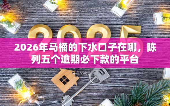 2026年马桶的下水口子在哪，陈列五个逾期必下款的平台