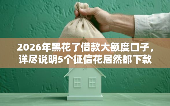 2026年黑花了借款大额度口子，详尽说明5个征信花居然都下款的口子