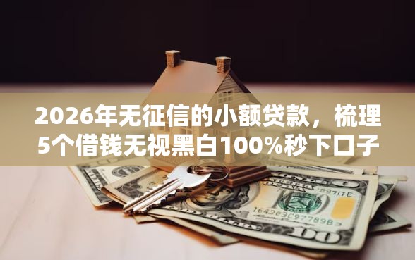 2026年无征信的小额贷款，梳理5个借钱无视黑白100%秒下口子