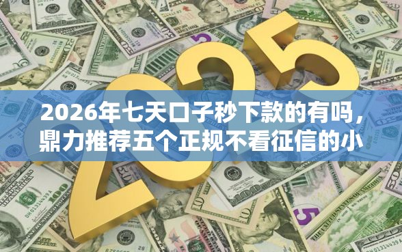 2026年七天口子秒下款的有吗，鼎力推荐五个正规不看征信的小额贷款口子