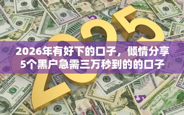 2026年有好下的口子，倾情分享5个黑户急需三万秒到的的口子