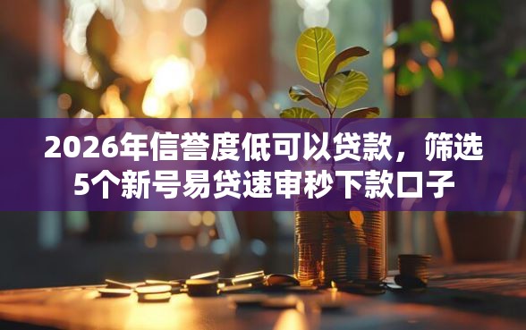 2026年信誉度低可以贷款，筛选5个新号易贷速审秒下款口子