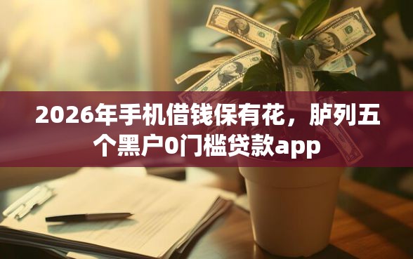 2026年手机借钱保有花，胪列五个黑户0门槛贷款app