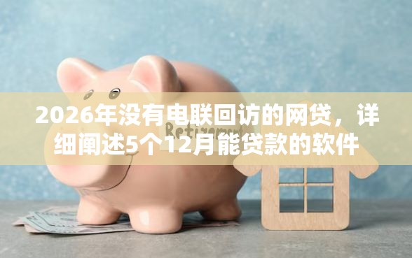 2026年没有电联回访的网贷，详细阐述5个12月能贷款的软件