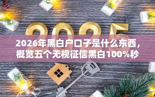 2026年黑白户口子是什么东西，概览五个无视征信黑白100%秒下软件
