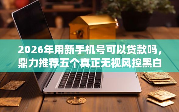 2026年用新手机号可以贷款吗，鼎力推荐五个真正无视风控黑白的网贷app