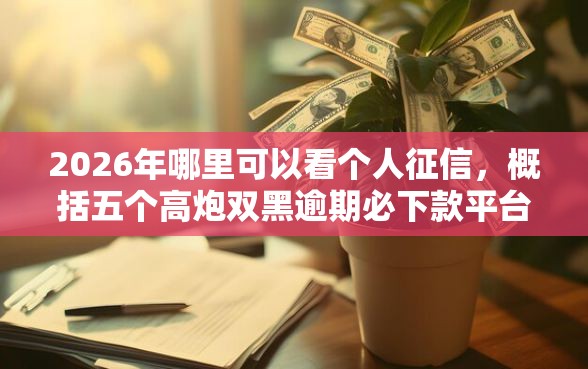 2026年哪里可以看个人征信，概括五个高炮双黑逾期必下款平台