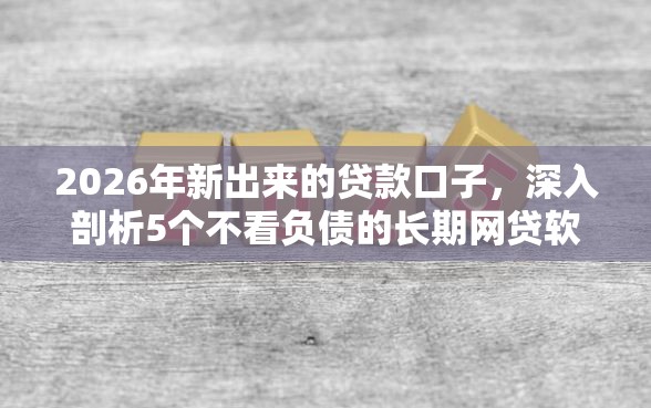 2026年新出来的贷款口子，深入剖析5个不看负债的长期网贷软件