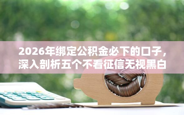 2026年绑定公积金必下的口子，深入剖析五个不看征信无视黑白百分百下款