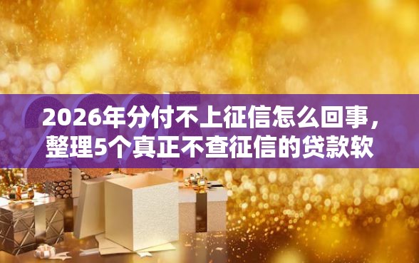 2026年分付不上征信怎么回事，整理5个真正不查征信的贷款软件