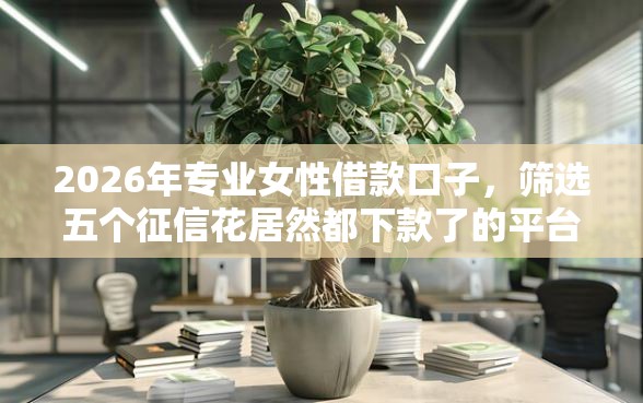 2026年专业女性借款口子，筛选五个征信花居然都下款了的平台